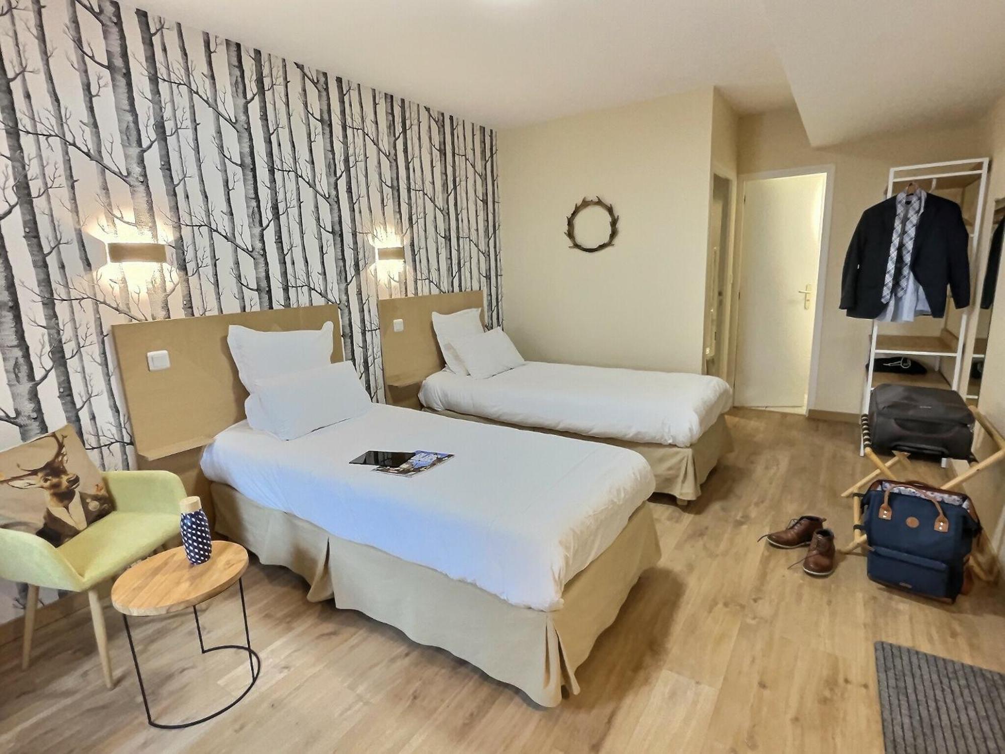 Logis Hotel Du Cygne 브라시외 객실 사진
