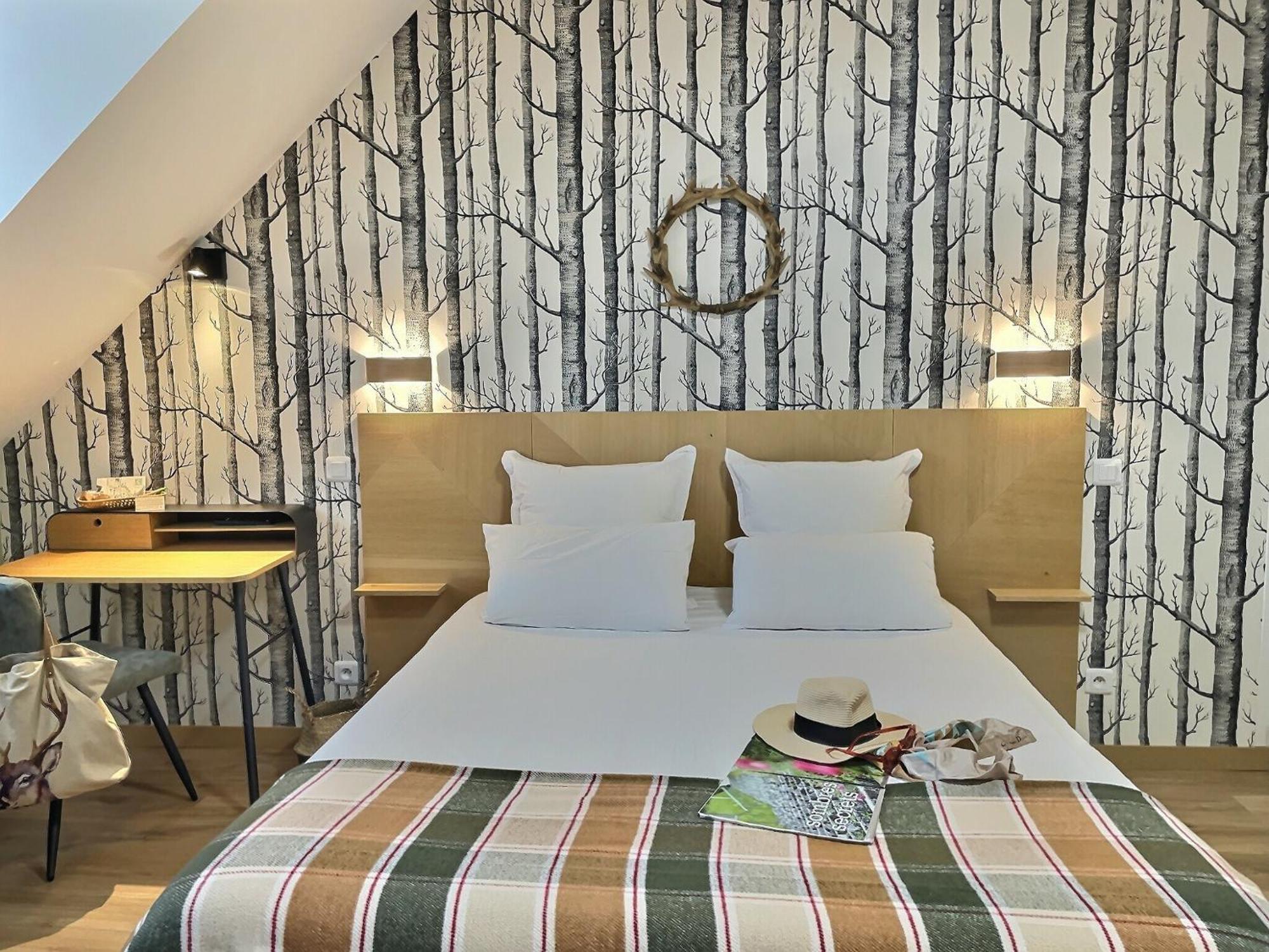 Logis Hotel Du Cygne 브라시외 외부 사진